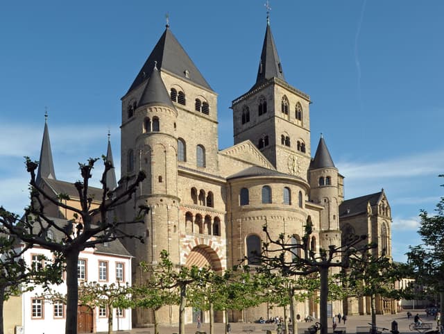 Dom Trier