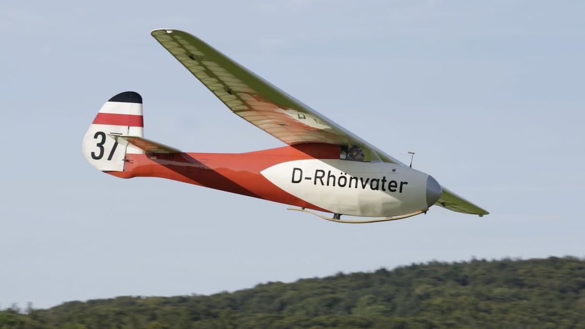 Rhönbussard im Landeanflug 3