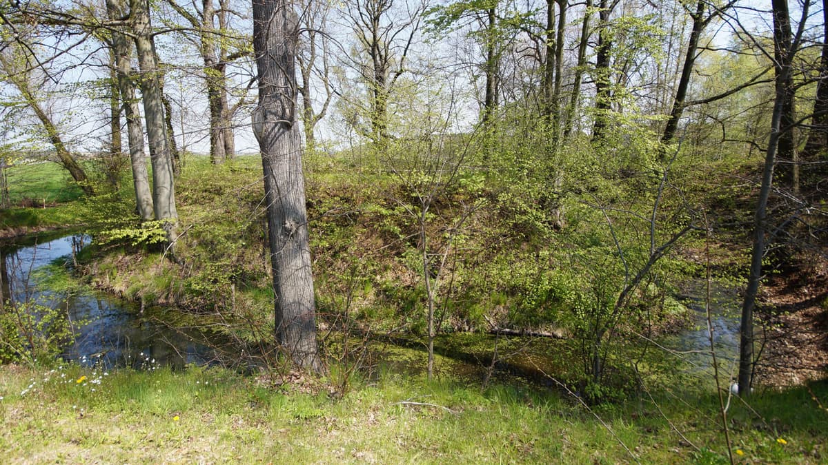 Waal Beerwalde (Motte)