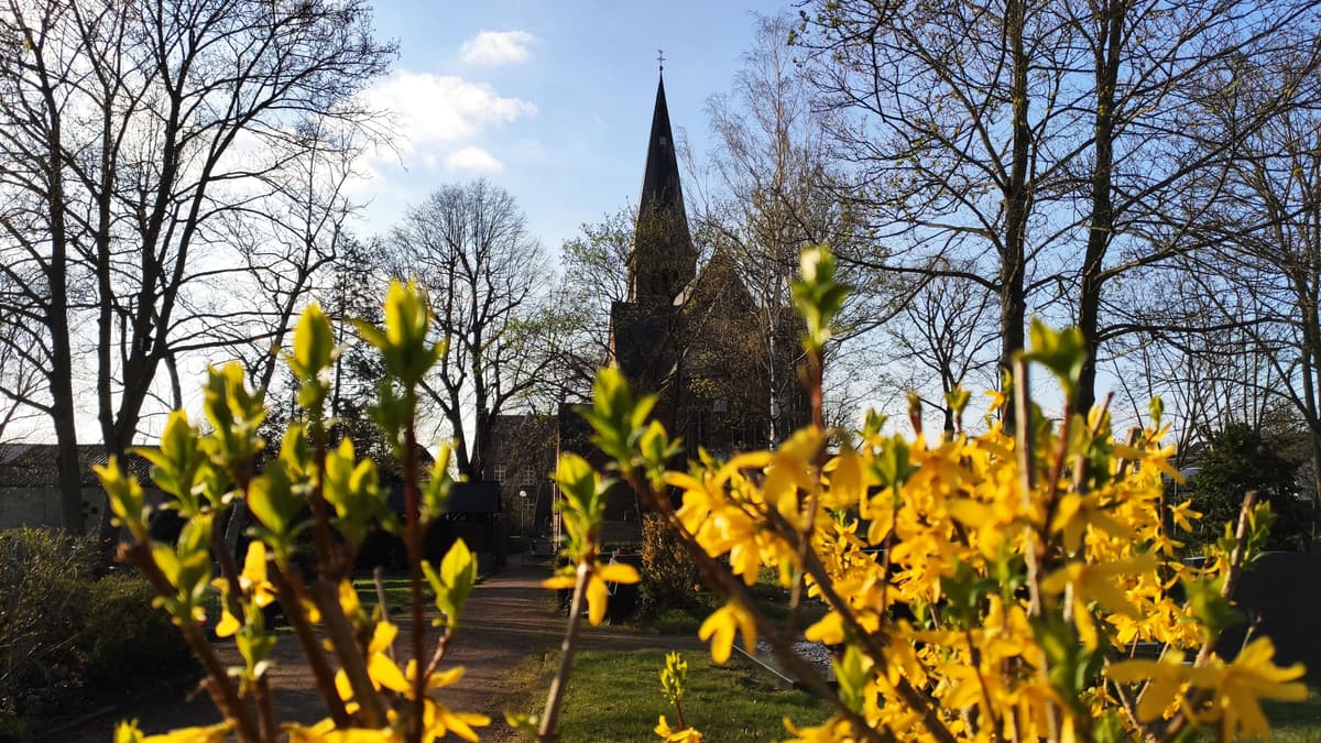 Ansicht vom Friedhof
