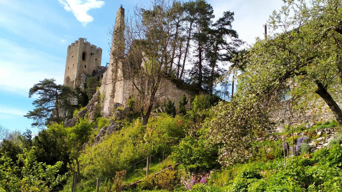 Burgruine Weißenstein