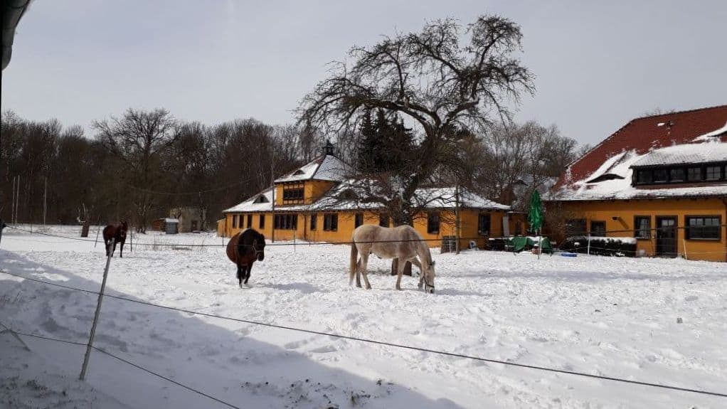 Schlobachshor im Winter