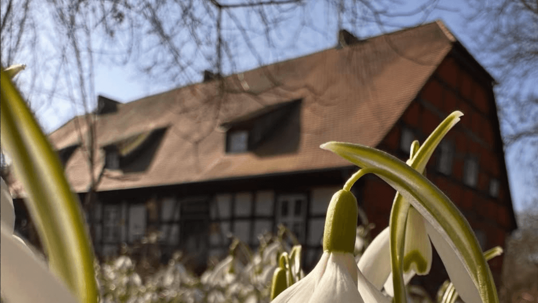 Frühling 2026