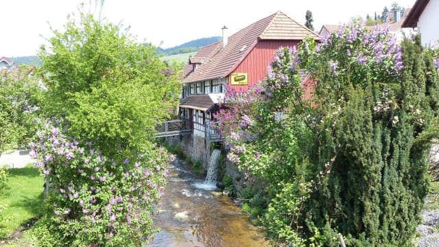 Museum Geiserschmiede