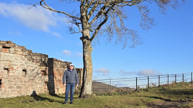 Burgruine Lindelbrunn
