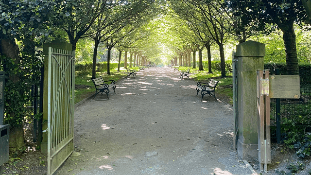 Botanischer Garten Rombergpark