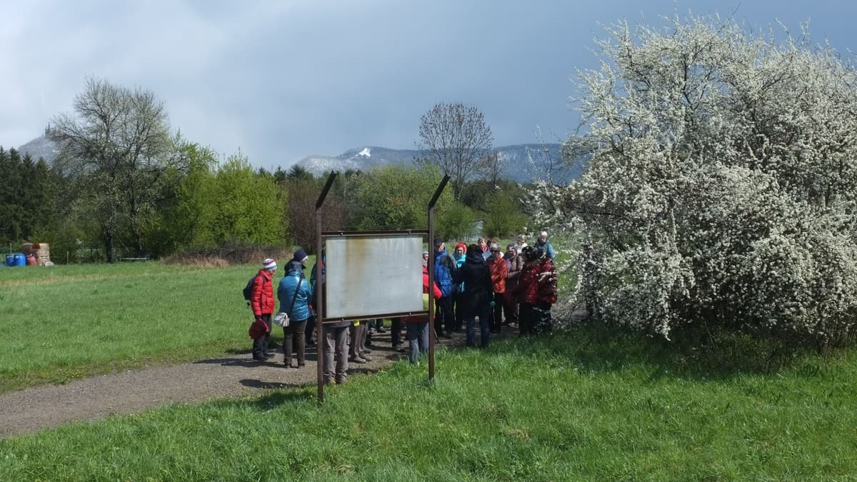 Wüste 2 Lagergelände
