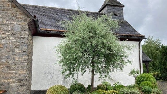 Saalbau