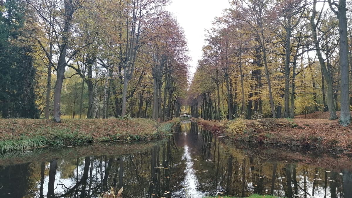 Schlosspark im Herbst
