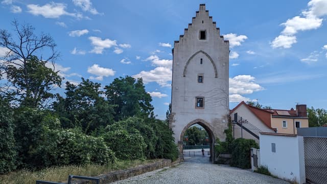 Saaltor