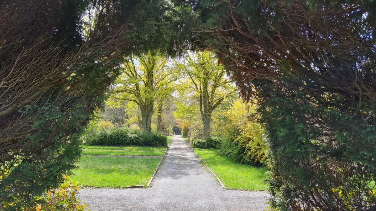 Hauptfriedhof Mülheim an der Ruhr Weg und Durchgang