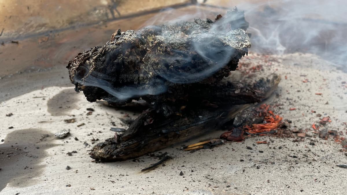 Morassina