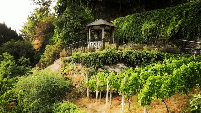 Ehemalige Stadtmauer im Bangert (heute Terrassengärten)