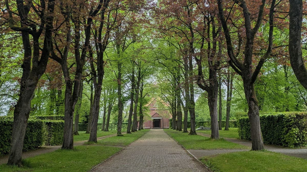 Ahornallee Ehrenfriedhof