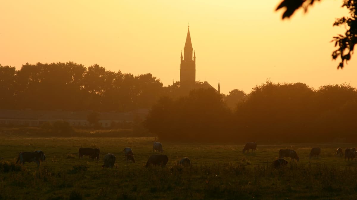 Kirche langen
