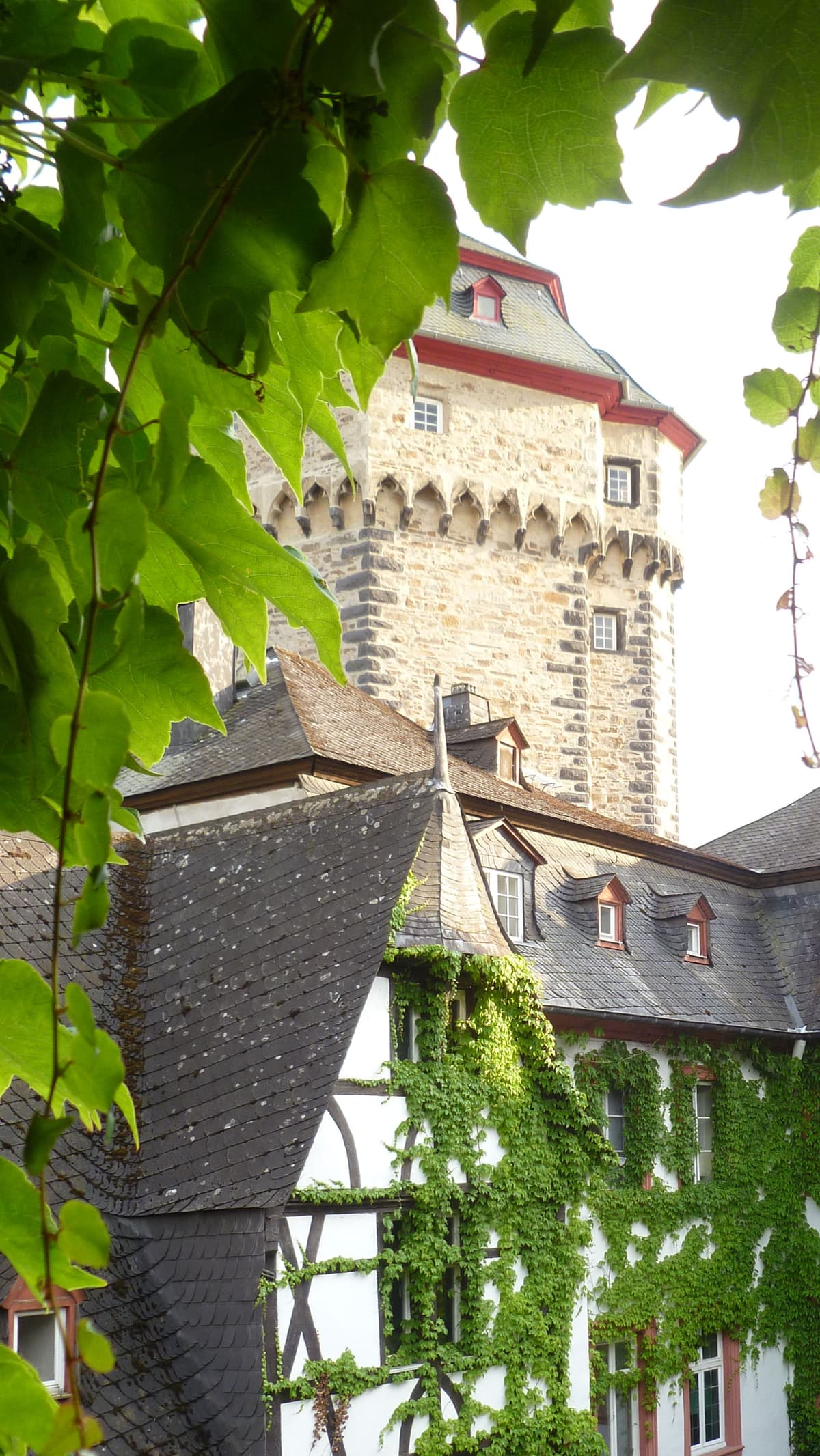 Martinsschloss Lahnstein