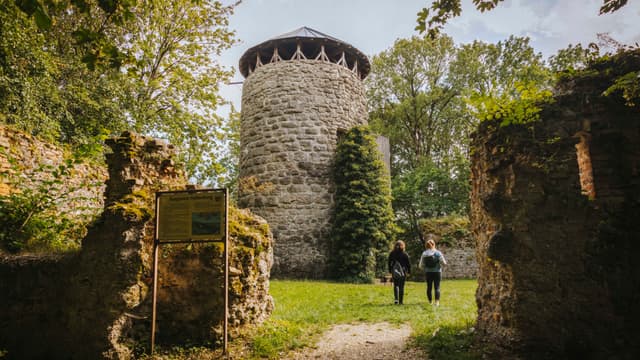 Burgruine Haltenberg