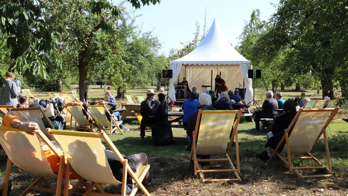 Musik- und Lesebühne im Park
