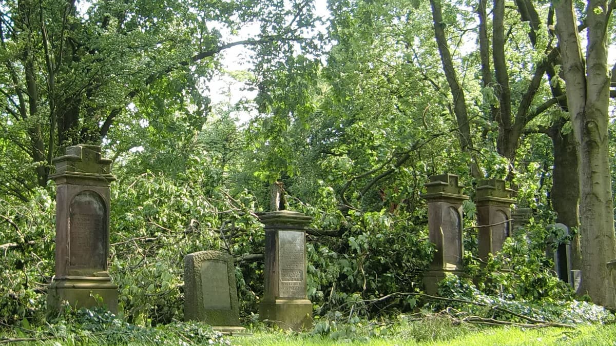 Grabmale auf dem Friedhof Dorstfeld