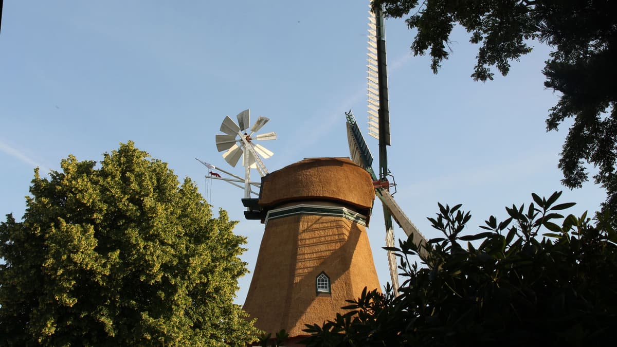 Mühle Lintig Juni 2025