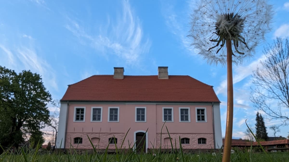 Pfarrhaus mit Pusteblume!