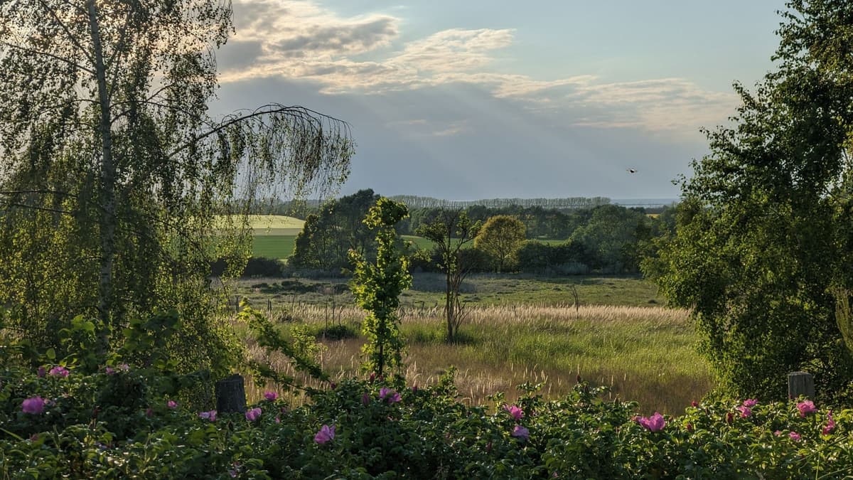 Haffblick Mühle