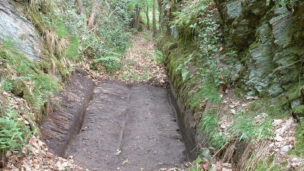 Alter Hohlweg mit Karrenspuren