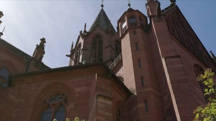 Rosen an der Katharinenkirche
