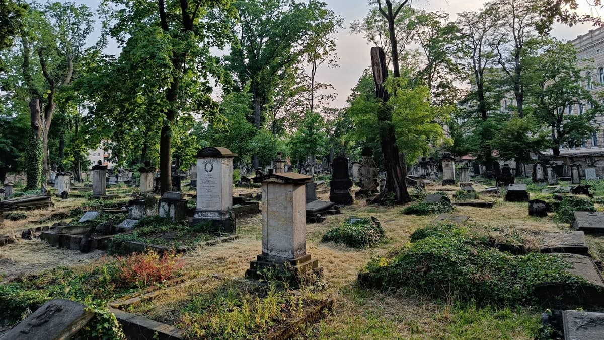 Eliasfriedhof Dresden