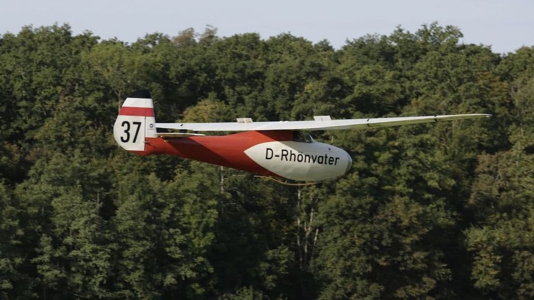 Rhönbussard im Landeanflug 2