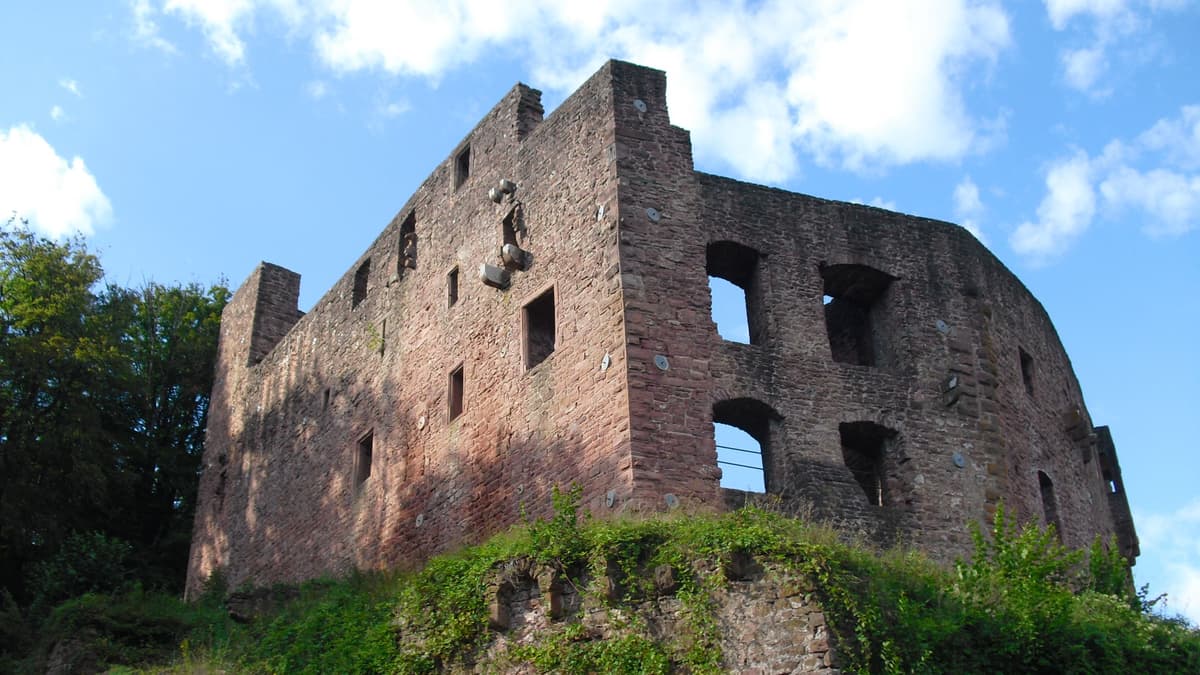 Burgruine 2014