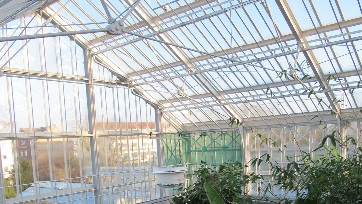 Palmenhaus, Innenansicht