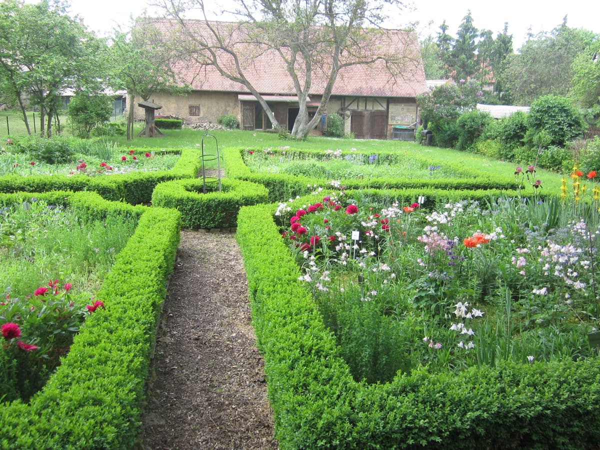 Bauerngarten - Blick zur Scheune