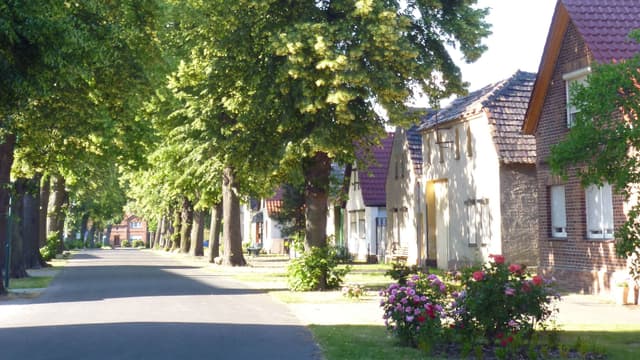 Gartendenkmal Lindenallee